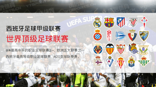 美网男单的 美网男单的